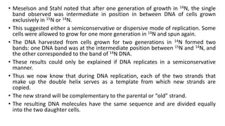 • Meselson and Stahl noted that after one generation of growth in 14N, the single
band observed was intermediate in position in between DNA of cells grown
exclusively in 15N or 14N.
• This suggested either a semiconservative or dispersive mode of replication. Some
cells were allowed to grow for one more generation in 14N and spun again.
• The DNA harvested from cells grown for two generations in 14N formed two
bands: one DNA band was at the intermediate position between 15N and 14N, and
the other corresponded to the band of 14N DNA.
• These results could only be explained if DNA replicates in a semiconservative
manner.
• Thus we now know that during DNA replication, each of the two strands that
make up the double helix serves as a template from which new strands are
copied.
• The new strand will be complementary to the parental or “old” strand.
• The resulting DNA molecules have the same sequence and are divided equally
into the two daughter cells.
 