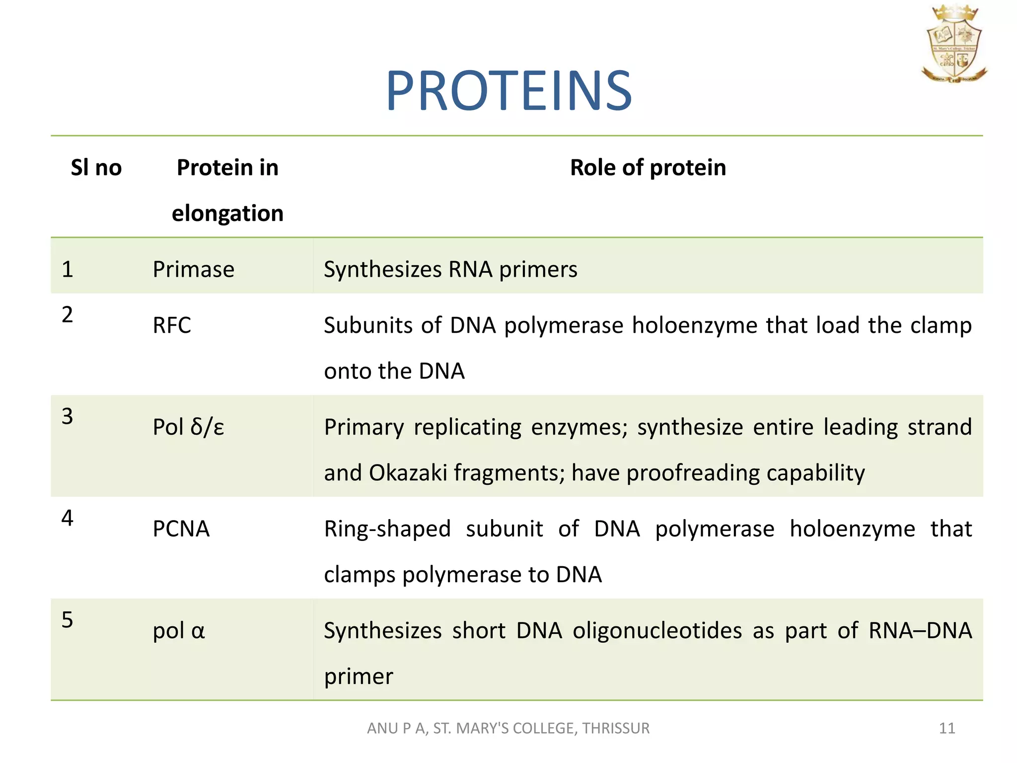 Replication in eukaryotes pptx