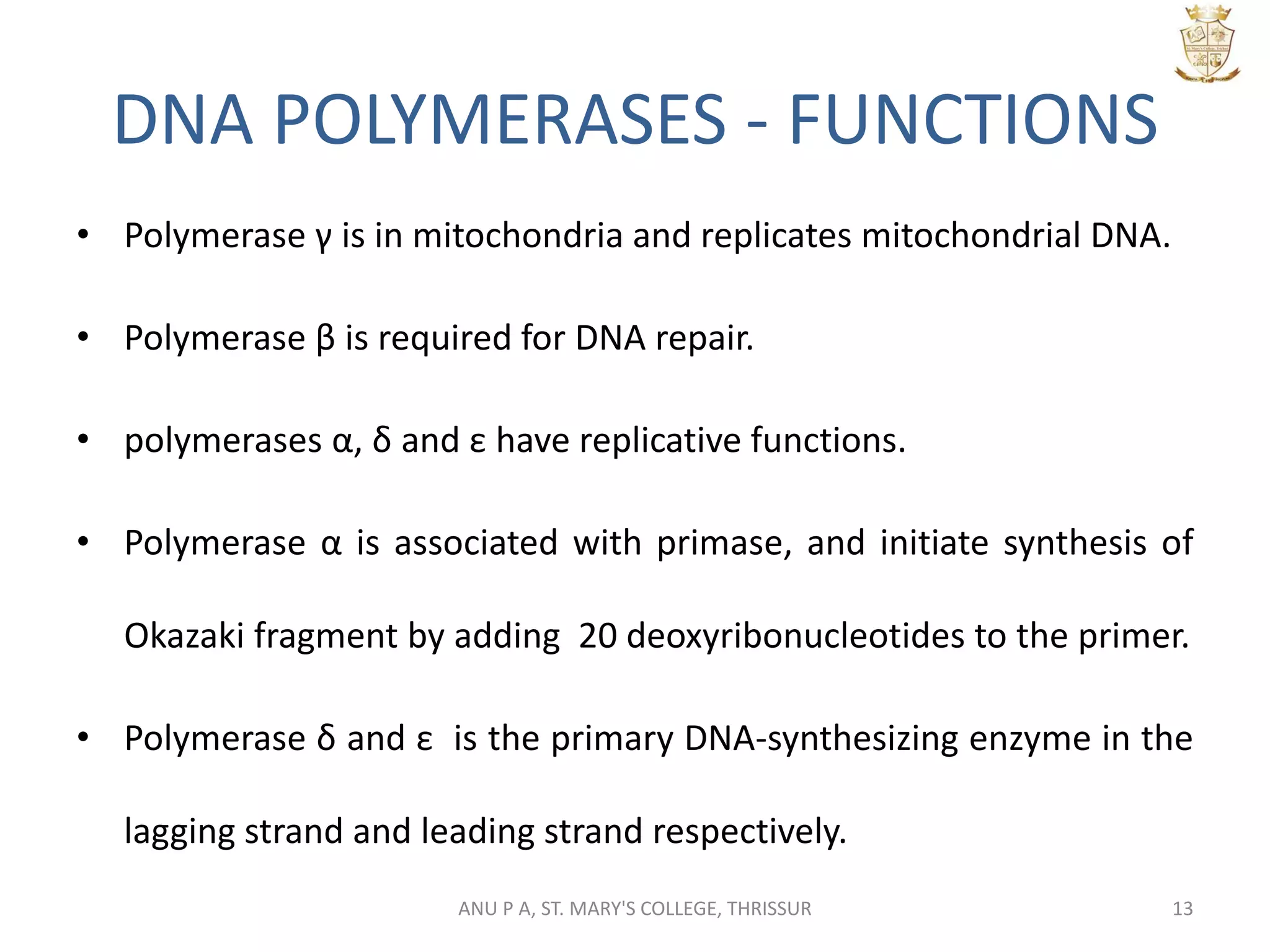 DNA POLYMERASES - FUNCTIONS
• Polymerase γ is in mitochondria and replicates mitochondrial DNA.
• Polymerase β is required for DNA repair.
• polymerases α, δ and ε have replicative functions.
• Polymerase α is associated with primase, and initiate synthesis of
Okazaki fragment by adding 20 deoxyribonucleotides to the primer.
• Polymerase δ and ε is the primary DNA-synthesizing enzyme in the
lagging strand and leading strand respectively.
13ANU P A, ST. MARY'S COLLEGE, THRISSUR
 