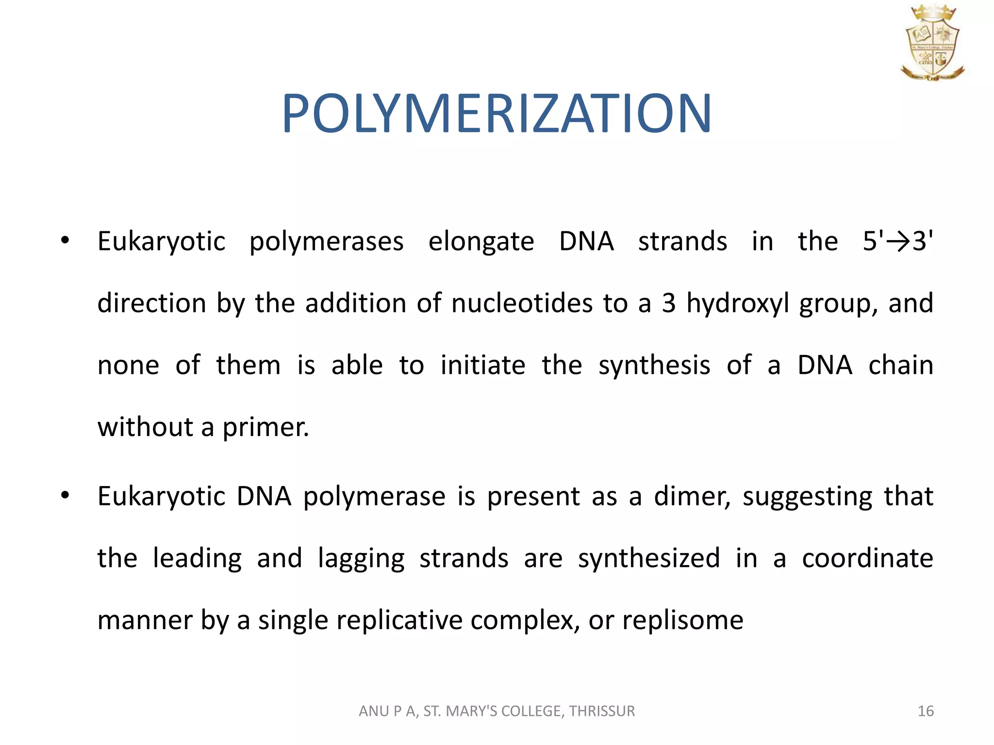 POLYMERIZATION
• Eukaryotic polymerases elongate DNA strands in the 5'→3'
direction by the addition of nucleotides to a 3 hydroxyl group, and
none of them is able to initiate the synthesis of a DNA chain
without a primer.
• Eukaryotic DNA polymerase is present as a dimer, suggesting that
the leading and lagging strands are synthesized in a coordinate
manner by a single replicative complex, or replisome
16ANU P A, ST. MARY'S COLLEGE, THRISSUR
 