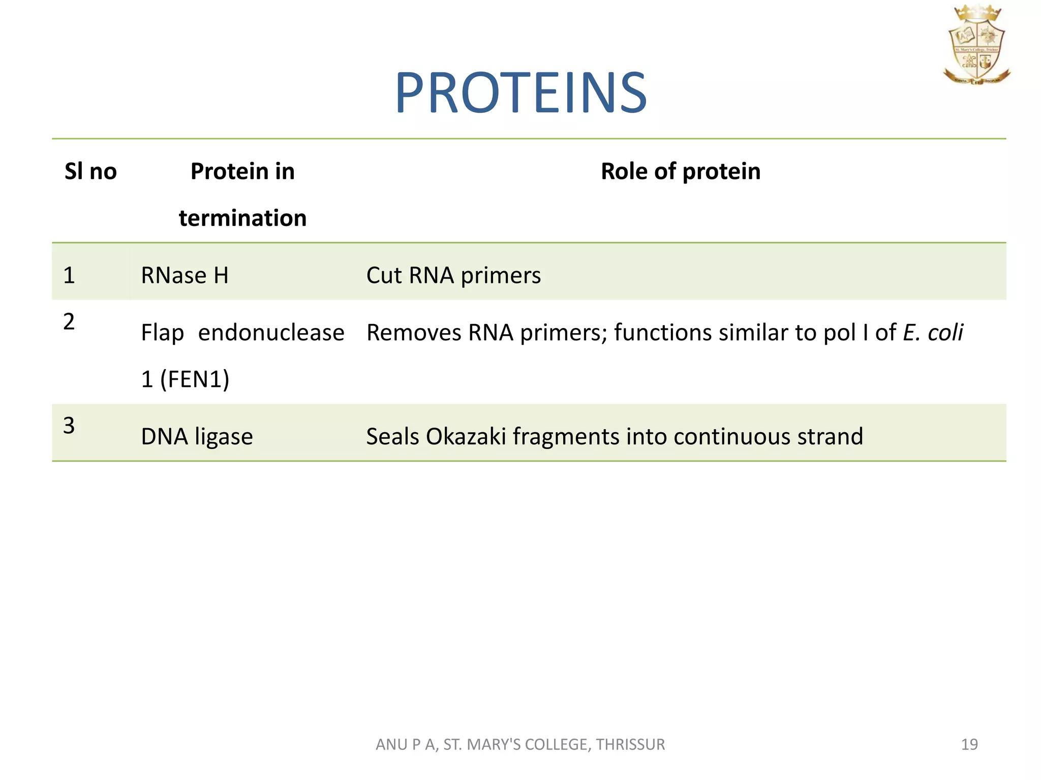 PROTEINS
Sl no Protein in
termination
Role of protein
1 RNase H Cut RNA primers
2 Flap endonuclease
1 (FEN1)
Removes RNA primers; functions similar to pol I of E. coli
3 DNA ligase Seals Okazaki fragments into continuous strand
19ANU P A, ST. MARY'S COLLEGE, THRISSUR
 
