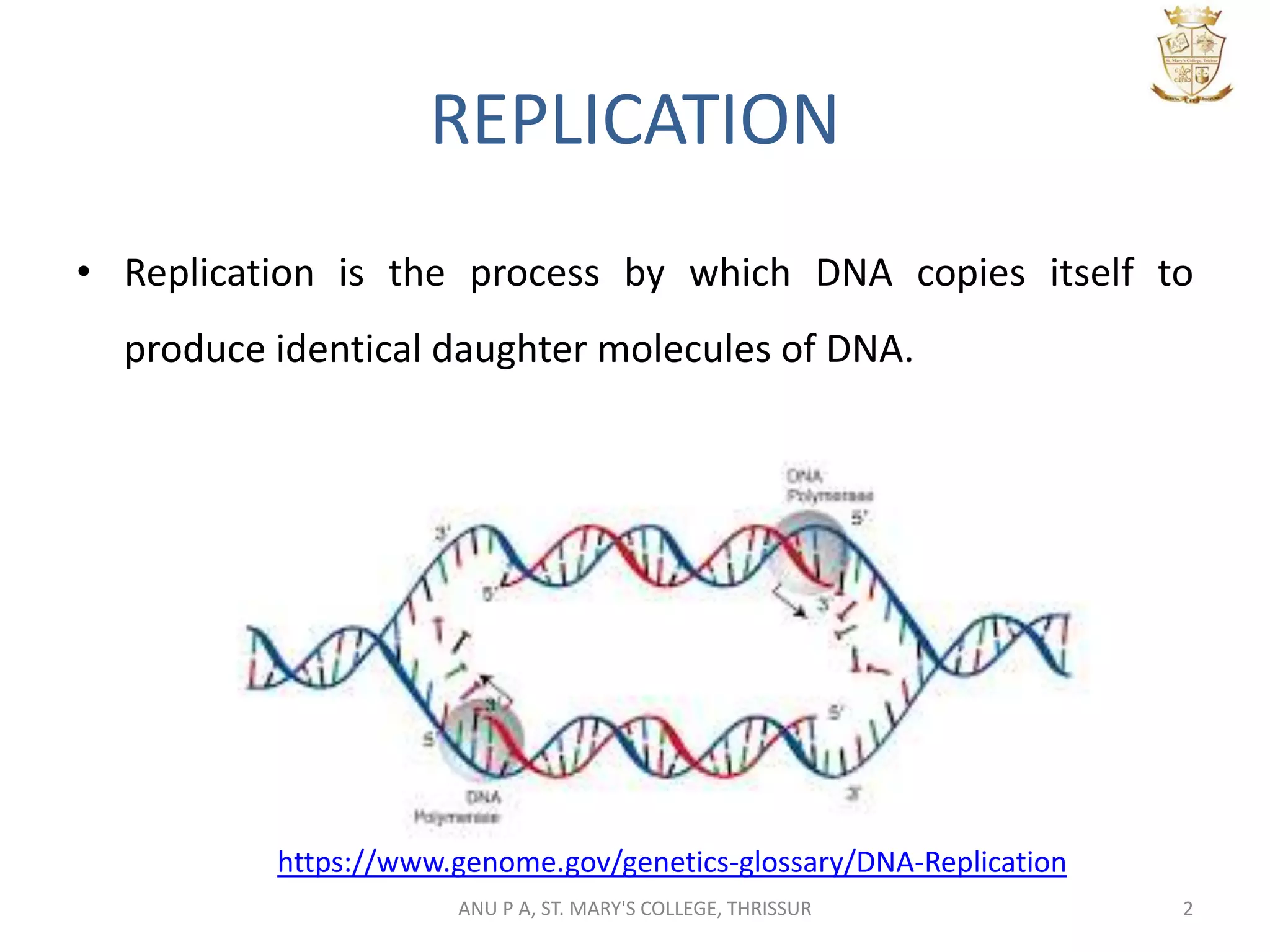Replication in eukaryotes pptx