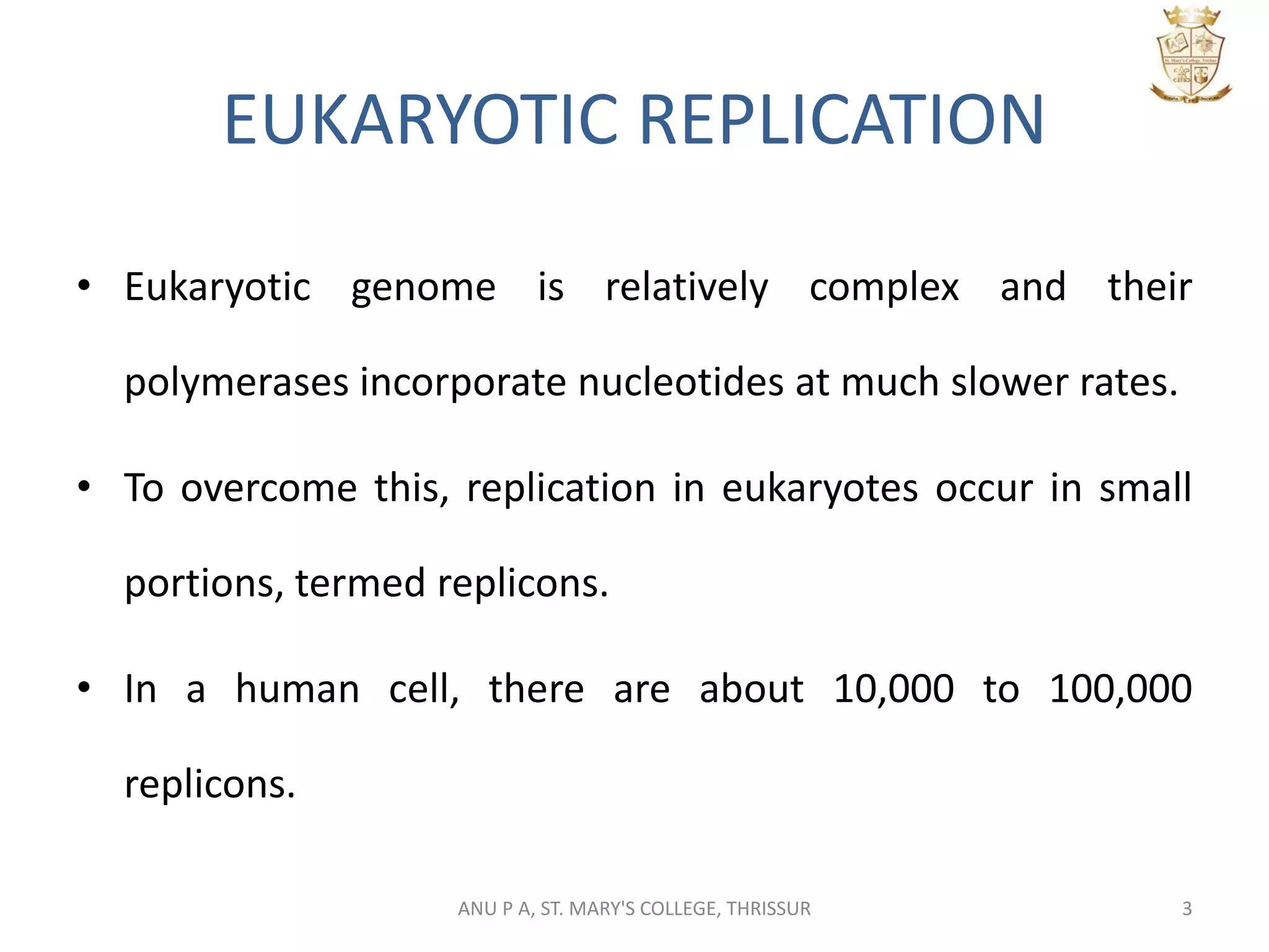EUKARYOTIC REPLICATION
• Eukaryotic genome is relatively complex and their
polymerases incorporate nucleotides at much slower rates.
• To overcome this, replication in eukaryotes occur in small
portions, termed replicons.
• In a human cell, there are about 10,000 to 100,000
replicons.
3ANU P A, ST. MARY'S COLLEGE, THRISSUR
 