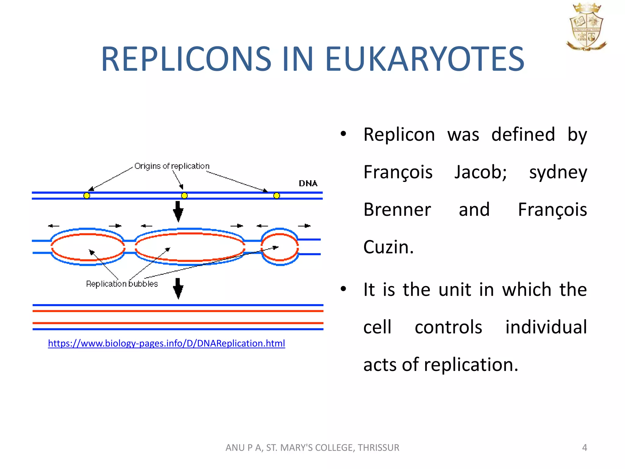 REPLICONS IN EUKARYOTES
• Replicon was defined by
François Jacob; sydney
Brenner and François
Cuzin.
• It is the unit in which the
cell controls individual
acts of replication.
4
https://www.biology-pages.info/D/DNAReplication.html
ANU P A, ST. MARY'S COLLEGE, THRISSUR
 