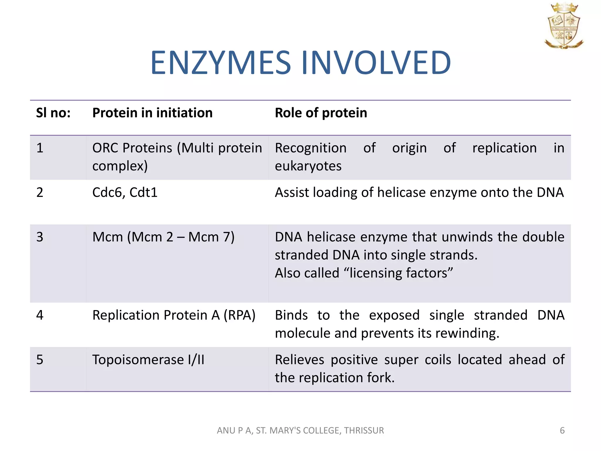 ENZYMES INVOLVED
Sl no: Protein in initiation Role of protein
1 ORC Proteins (Multi protein
complex)
Recognition of origin of replication in
eukaryotes
2 Cdc6, Cdt1 Assist loading of helicase enzyme onto the DNA
3 Mcm (Mcm 2 – Mcm 7) DNA helicase enzyme that unwinds the double
stranded DNA into single strands.
Also called “licensing factors”
4 Replication Protein A (RPA) Binds to the exposed single stranded DNA
molecule and prevents its rewinding.
5 Topoisomerase I/II Relieves positive super coils located ahead of
the replication fork.
6ANU P A, ST. MARY'S COLLEGE, THRISSUR
 