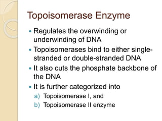 Topoisomerase Enzyme
 Regulates the overwinding or
underwinding of DNA
 Topoisomerases bind to either single-
stranded or double-stranded DNA
 It also cuts the phosphate backbone of
the DNA
 It is further categorized into
a) Topoisomerase I, and
b) Topoisomerase II enzyme
 