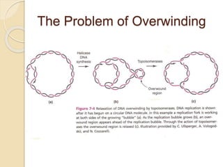 The Problem of Overwinding
 