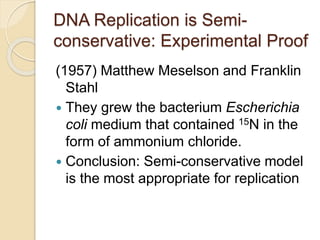 DNA Replication is Semi-
conservative: Experimental Proof
(1957) Matthew Meselson and Franklin
Stahl
 They grew the bacterium Escherichia
coli medium that contained 15N in the
form of ammonium chloride.
 Conclusion: Semi-conservative model
is the most appropriate for replication
 