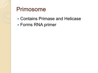 Primosome
 Contains Primase and Helicase
 Forms RNA primer
 