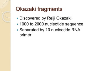 Okazaki fragments
 Discovered by Reiji Okazaki
 1000 to 2000 nucleotide sequence
 Separated by 10 nucleotide RNA
primer
 