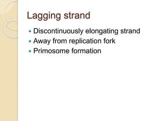 Lagging strand
 Discontinuously elongating strand
 Away from replication fork
 Primosome formation
 