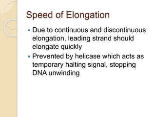 Speed of Elongation
 Due to continuous and discontinuous
elongation, leading strand should
elongate quickly
 Prevented by helicase which acts as
temporary halting signal, stopping
DNA unwinding
 