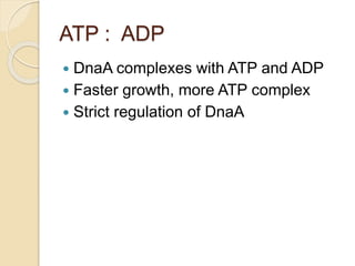 ATP : ADP
 DnaA complexes with ATP and ADP
 Faster growth, more ATP complex
 Strict regulation of DnaA
 