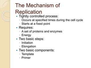 The Mechanism of
Replication
 Tightly controlled process:
◦ Occurs at specified times during the cell cycle
◦ Starts at a fixed point
 Requires:
◦ A set of proteins and enzymes
◦ Energy
 Two basic steps:
◦ Initiation
◦ Elongation
 Two basic components:
◦ Template
◦ Primer
 