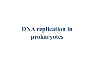 DNA replication in
prokaryotes
 
