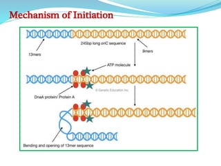 Mechanism of Initiation
 