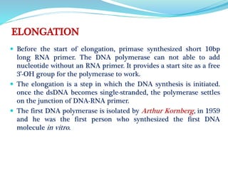 ELONGATION
 Before the start of elongation, primase synthesized short 10bp
long RNA primer. The DNA polymerase can not able to add
nucleotide without an RNA primer. It provides a start site as a free
3’-OH group for the polymerase to work.
 The elongation is a step in which the DNA synthesis is initiated.
once the dsDNA becomes single-stranded, the polymerase settles
on the junction of DNA-RNA primer.
 The first DNA polymerase is isolated by Arthur Kornberg, in 1959
and he was the first person who synthesized the first DNA
molecule in vitro.
 