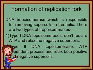 Formation of replication fork
DNA tropoisomerase which is responsible
for removing supercoils in the helix. There
are two types of tropoisomerases-
1)Type I DNA topoisomerases: don’t require
ATP and relax the negative supercoils.
2)Type II DNA topoisomerase: ATP
dependent process and relax both positive
and negative supercoils.
 