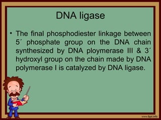 DNA ligase
• The final phosphodiester linkage between
5´ phosphate group on the DNA chain
synthesized by DNA ploymerase III & 3´
hydroxyl group on the chain made by DNA
polymerase I is catalyzed by DNA ligase.
 
