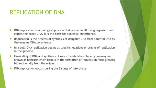 THE DNA DNA structure Replication of DNA Enzymes involved in DNA ...