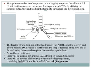 Replication of DNA in Prokaryotes.pptx