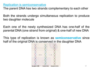Conserved Dna REPLICATION OF DNA IN PROKARYOTES (Final).pdf HAAJAAUUA | PDF
