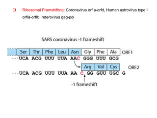  Ribosomal Framshifting: Coronavirus orf a-orfd, Human astrovirus type I
orfIa-orfIb, reterovirus gag-pol
 