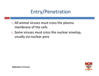 Entry/Penetrationy/
All animal viruses must cross the plasmaAll animal viruses must cross the plasma 
membrane of the cells 
Some viruses must cross the nuclear envelop,Some viruses must cross the nuclear envelop, 
usually via nuclear pore 
Replication of viruses 
 