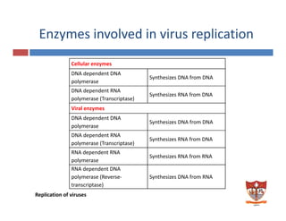 Enzymes involved in virus replicationy p
Cellular enzymes
DNA dependent DNA 
polymerase 
Synthesizes DNA from DNA
DNA dependent RNA 
l ( )
Synthesizes RNA from DNA
polymerase (Transcriptase)
y
Viral enzymes 
DNA dependent DNA 
l
Synthesizes DNA from DNA
polymerase 
y
DNA dependent RNA 
polymerase (Transcriptase)
Synthesizes RNA from DNA
RNA dependent RNARNA dependent RNA 
polymerase 
Synthesizes RNA from RNA
RNA dependent DNA 
polymerase (Reverse‐ Synthesizes DNA from RNA
Replication of viruses 
transcriptase)
 