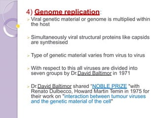 4) Genome replication:
 Viral genetic material or genome is multiplied within
the host
 Simultaneously viral structural proteins like capsids
are synthesised
 Type of genetic material varies from virus to virus
 With respect to this all viruses are divided into
seven groups by Dr.David Baltimor in 1971
 Dr.David Baltimor shared “NOBLE PRIZE “with
Renato Dulbecco, Howard Martin Temin in 1975 for
their work on "interaction between tumour viruses
and the genetic material of the cell"
 