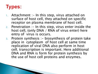 1. Attachment :- In this step, virus attached on
surface of host cell, they attached on specific
receptor on plasma membrane of host cell.
2. Penetration :- In this step, virus enter inside the
host cell, (only DNA / RNA of virus enter) here
entry of virus is occurs.
3. Protein synthesis :- biosynthesis of protein take
place in cytoplasm of host cell at same time
replication of viral DNA also perform in host
cell. transcription is important. Here additional
DNA and RNA is form for protein synthesis by
the use of host cell proteins and enzymes.
 