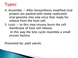 4. Assembly :- After biosynthesis modified viral
protein are packed with newly replicated
viral genome into new virus that ready for
release from the host cell.
5. Lysis :- In this step viruses burst the cell
membrane of host cell release.
In this way the lytic cycle resemble a small
viruses factory.
Presented by: patil sakshi.
 
