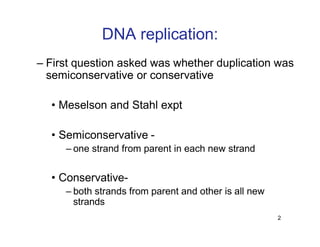 Replication Notes biology notes for easy | PDF