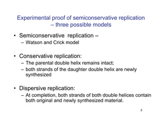 Replication Notes biology notes for easy | PDF
