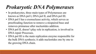 Prokaryotic DNA Polymerases
• In prokaryotes, three main types of Polymerases are
known as DNA pol I, DNA pol II, and DNA pol III.
• DNA pol I has a exonuclease activity, which serves as
proofreading function to remove a mispaired base and
removes primarase after nucleotides addition.
• DNA pol II, doesn’t play role in replication, is involved in
DNA repair Processes.
• DNA pol III is the main replication enzyme responsible for
the bulk DNA synthesis; it adds nucleotides one by one to
the growing DNA chain.
 