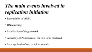 The main events involved in
replication initiation
• Recognition of origin.
• DNA melting.
• Stabilization of single strand.
• Assembly of Primosome at the two forks produced.
• Start synthesis of two daughter strands.
 