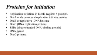 Proteins for initiation
• Replication initiation in E.coli requires 6 proteins.
• DnaA or chromosomal replication initiator protein
• DnaB or replicative DNA helicase
• DnaC (DNA replication protein)
• SSBp (single stranded DNA-binding protein)
• DNA gyrase
• DnaG primase
 
