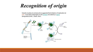 Recognition of origin
 