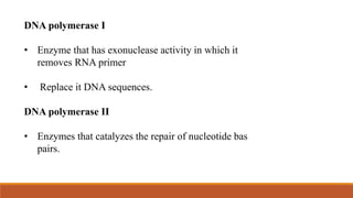 DNA polymerase I
• Enzyme that has exonuclease activity in which it
removes RNA primer
• Replace it DNA sequences.
DNA polymerase II
• Enzymes that catalyzes the repair of nucleotide bas
pairs.
 