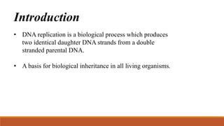 Introduction
• DNA replication is a biological process which produces
two identical daughter DNA strands from a double
stranded parental DNA.
• A basis for biological inheritance in all living organisms.
 