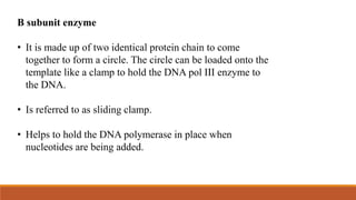 Β subunit enzyme
• It is made up of two identical protein chain to come
together to form a circle. The circle can be loaded onto the
template like a clamp to hold the DNA pol III enzyme to
the DNA.
• Is referred to as sliding clamp.
• Helps to hold the DNA polymerase in place when
nucleotides are being added.
 