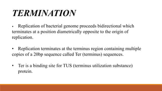 TERMINATION
• Replication of bacterial genome proceeds bidirectional which
terminates at a position diametrically opposite to the origin of
replication.
• Replication terminates at the terminus region containing multiple
copies of a 20bp sequence called Ter (terminus) sequences.
• Ter is a binding site for TUS (terminus utilization substance)
protein.
 