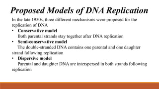 Proposed Models of DNA Replication
In the late 1950s, three different mechanisms were proposed for the
replication of DNA
• Conservative model
Both parental strands stay together after DNA replication
• Semi-conservative model
The double-stranded DNA contains one parental and one daughter
strand following replication
• Dispersive model
Parental and daughter DNA are interspersed in both strands following
replication
 