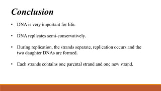Conclusion
• DNA is very important for life.
• DNA replicates semi-conservatively.
• During replication, the strands separate, replication occurs and the
two daughter DNAs are formed.
• Each strands contains one parental strand and one new strand.
 