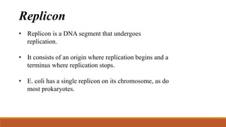 Replicon
• Replicon is a DNA segment that undergoes
replication.
• It consists of an origin where replication begins and a
terminus where replication stops.
• E. coli has a single replicon on its chromosome, as do
most prokaryotes.
 