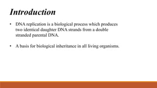 Prokaryotic Replication presentation
