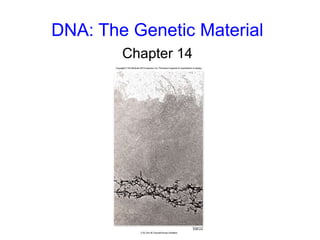 DNA: The Genetic Material
Chapter 14
 