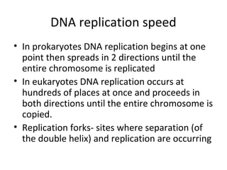 DNA replication speed
• In prokaryotes DNA replication begins at one
point then spreads in 2 directions until the
entire chromosome is replicated
• In eukaryotes DNA replication occurs at
hundreds of places at once and proceeds in
both directions until the entire chromosome is
copied.
• Replication forks- sites where separation (of
the double helix) and replication are occurring
 