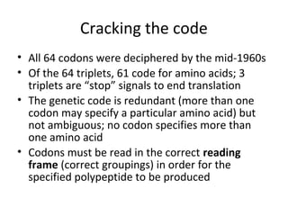 Cracking the code
• All 64 codons were deciphered by the mid-1960s
• Of the 64 triplets, 61 code for amino acids; 3
triplets are “stop” signals to end translation
• The genetic code is redundant (more than one
codon may specify a particular amino acid) but
not ambiguous; no codon specifies more than
one amino acid
• Codons must be read in the correct reading
frame (correct groupings) in order for the
specified polypeptide to be produced
 