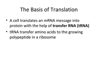 The Basis of Translation
• A cell translates an mRNA message into
protein with the help of transfer RNA (tRNA)
• tRNA transfer amino acids to the growing
polypeptide in a ribosome
 